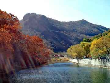 新澳天天开奖资料大全旅游团，北京万东医疗x光机